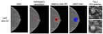 An Efficient Deep Neural Network to Classify Large 3D Images With Small Objects